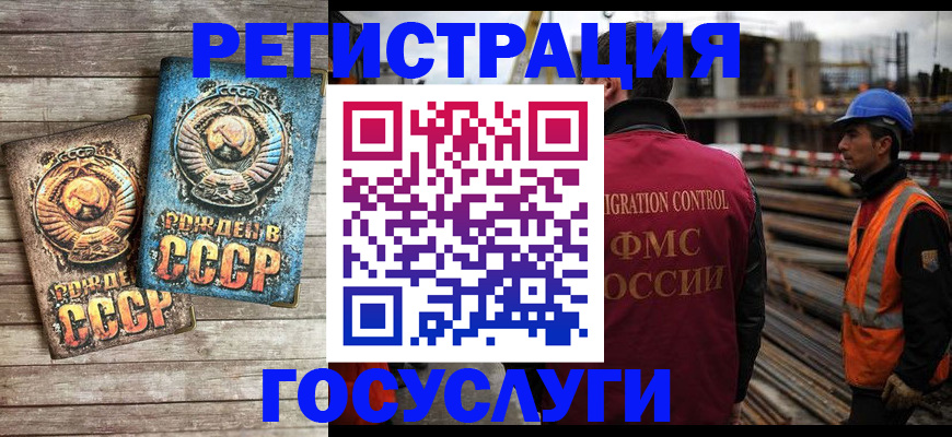 где прописаться в Куртамыше